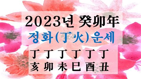 丁火 2023